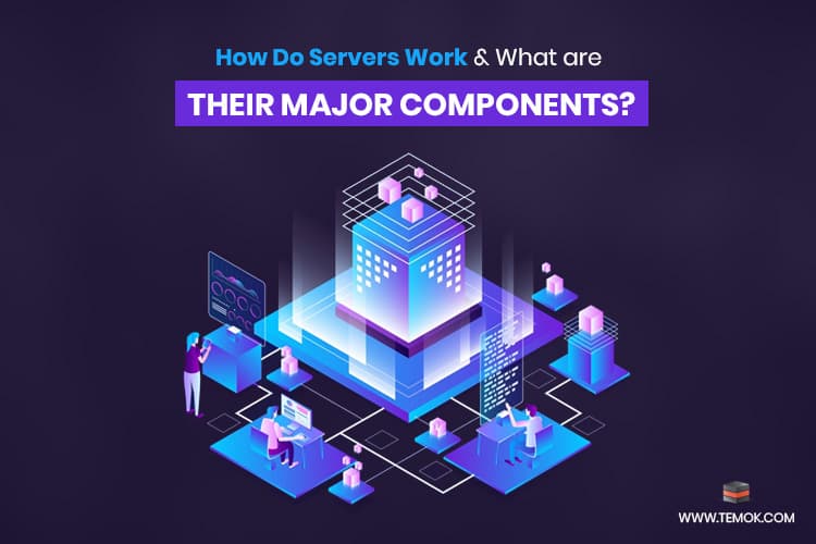 How Do Servers Work and What are Their Major Components?