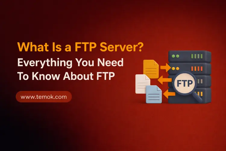 What Is a FTP Server: Learn FTP For File Management