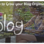 Grow Blog Organically