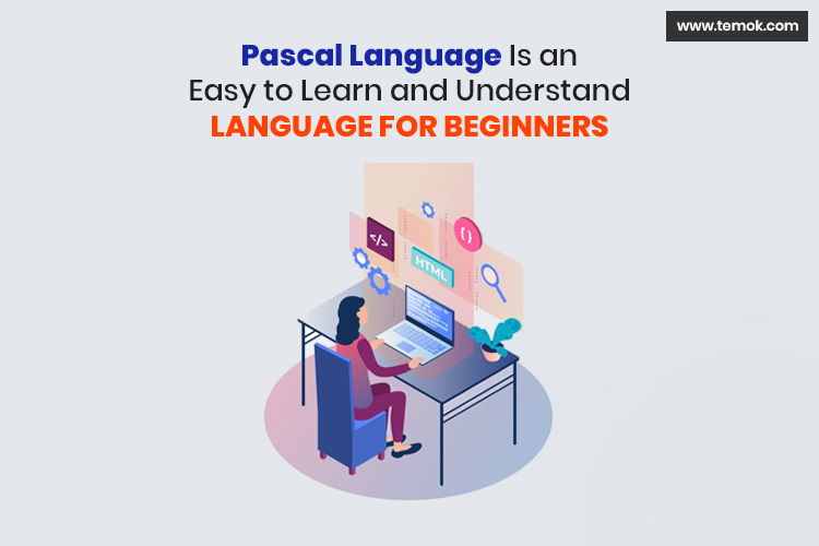 Types of Programming Languages: Differences And Specialties