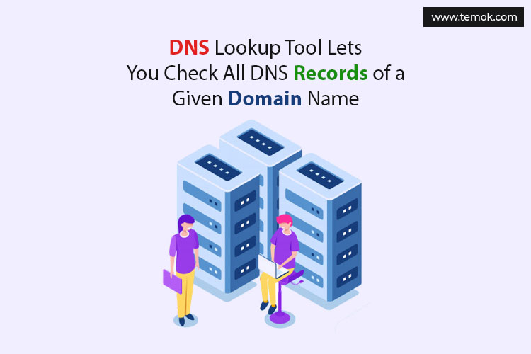 What Are the Steps in a DNS Lookup