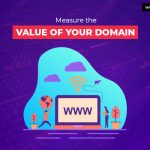 Domain Value