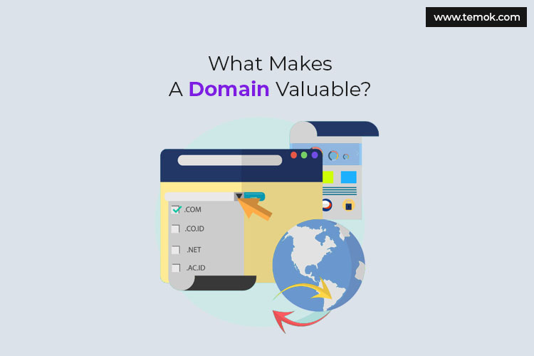 How to Measure The Domain Value? Why Is It Important?