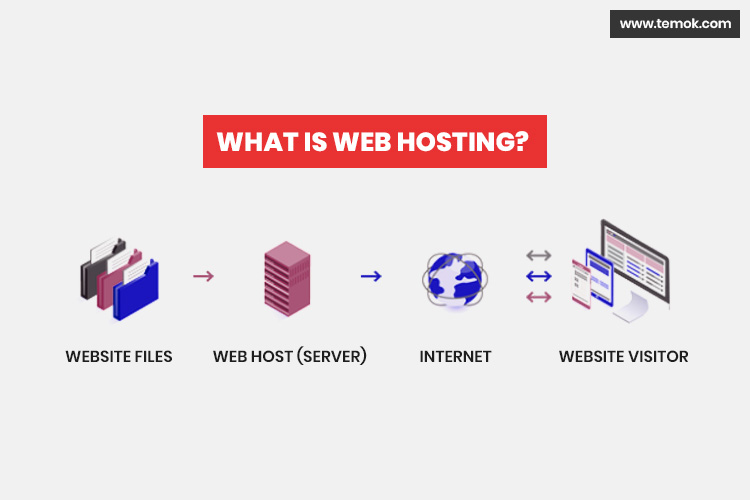 Basics of Web Hosting