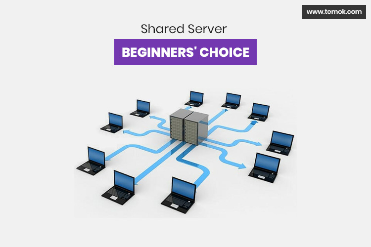 Shared Server - Beginners' Choice