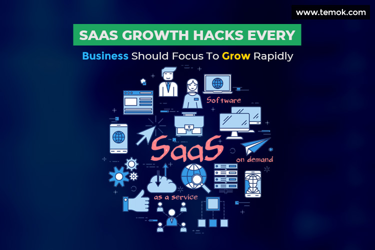 SaaS Growth Hacks Every Business Should Focus To Grow Rapidly Temok Hosting Blog