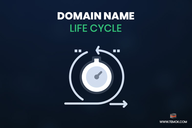 What is Domain Lifecycle