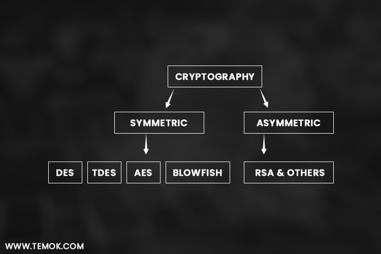 Cryptography Interview questions and answers: cryptography