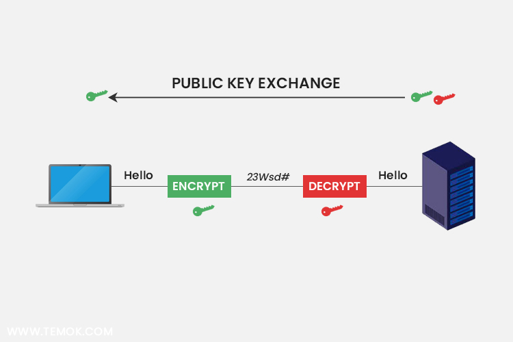 Cryptography Interview questions and answers: Public key exchange 