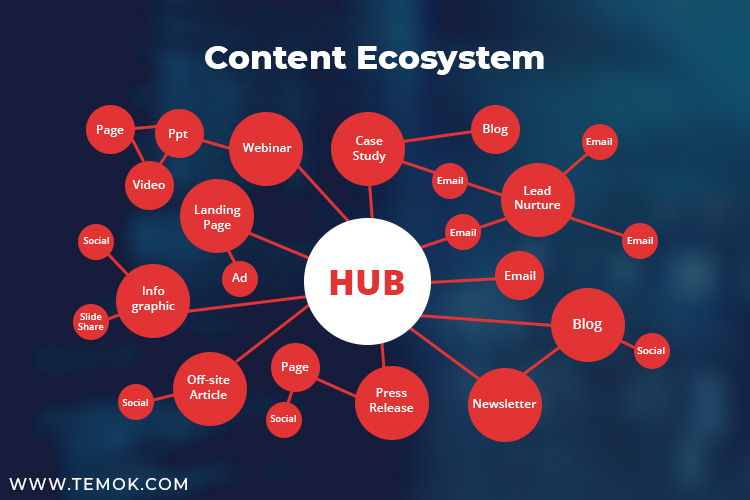 Content Ecosystem