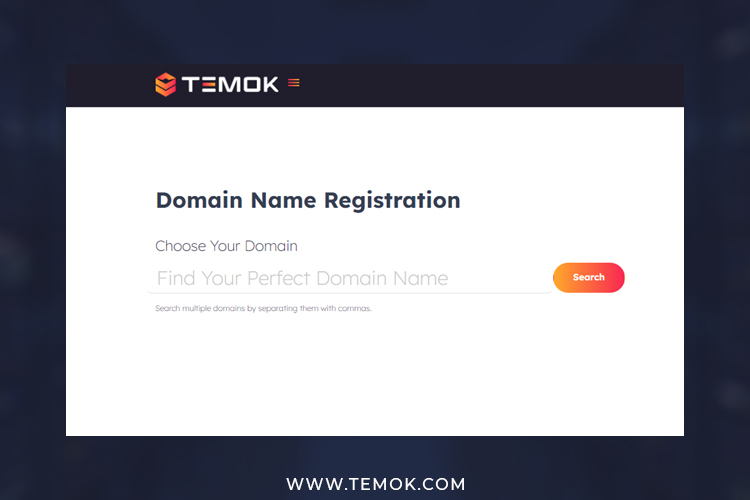 Domain vs Hosting: Domain Registration