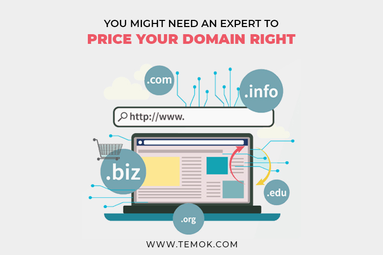 How to Sell a Domain Name? : Create A Landing Page