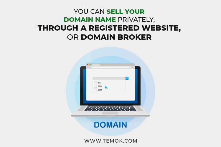 How to Sell a Domain Name? : Different Ways to Sell Your Domain