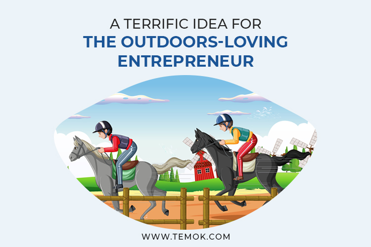 outdoor business ideas : Pony ride business