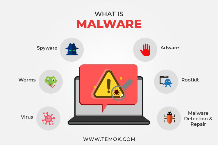 Common WordPress Vulnerabilities ; What is Malware