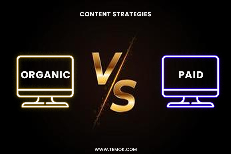 paid vs. organic content strategies
