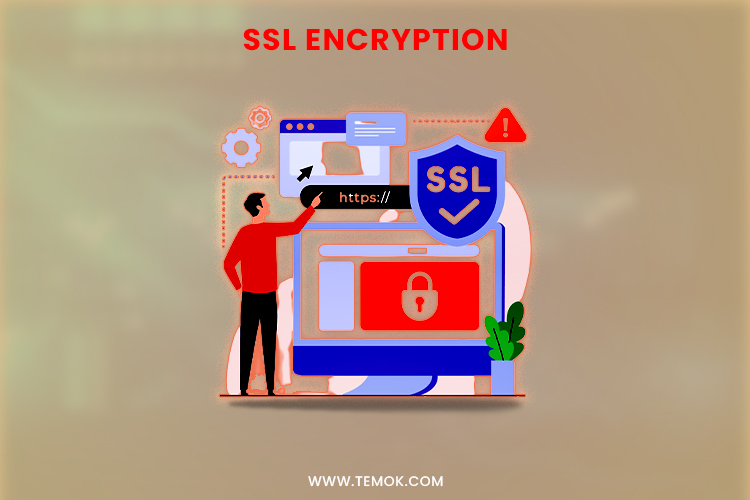 SSL encryption - web hosting factor 