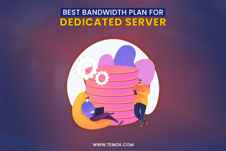 choose the best bandwidth plan for dedicated server