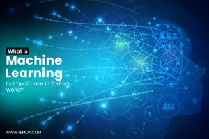 What Is Machine Learning and its Importance in Today's World?