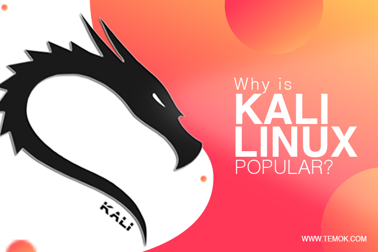 Unleash the Power How to Install Kali Linux With a Twist
