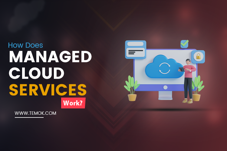 How Does Managed Cloud Services Work
