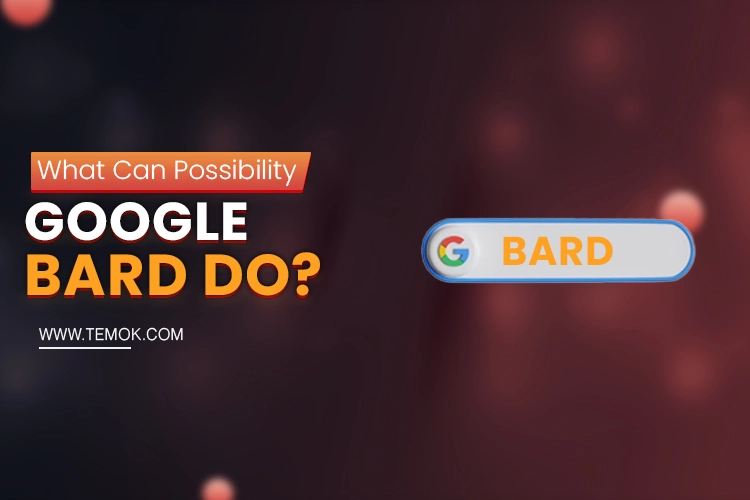 What Can Possibility Google-Bard Do