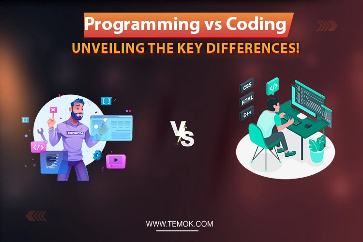Programming vs Coding