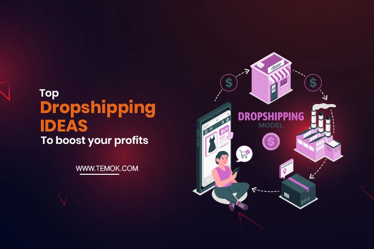 Top Dropshipping Business Ideas to Boost Your Profit