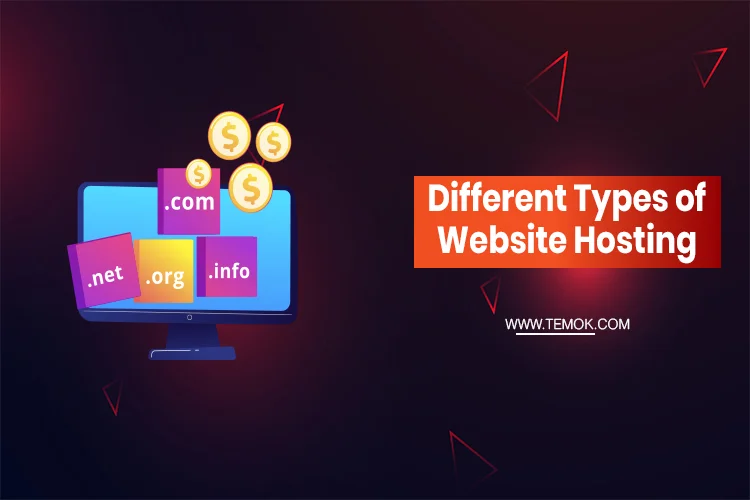What Are Different Types of Website Hosting